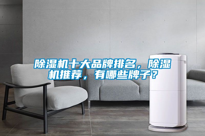 91看片在线下载機十大品牌排名，91看片在线下载機推薦，有哪些牌子？