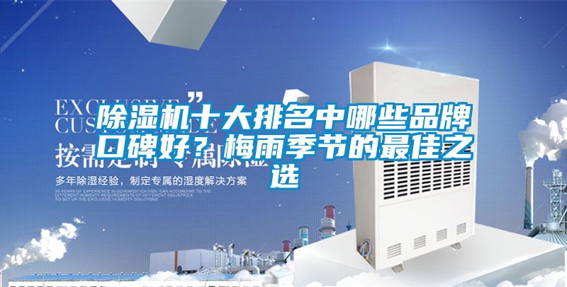 91看片在线下载機十大排名中哪些品牌口碑好？梅雨季節的最佳之選