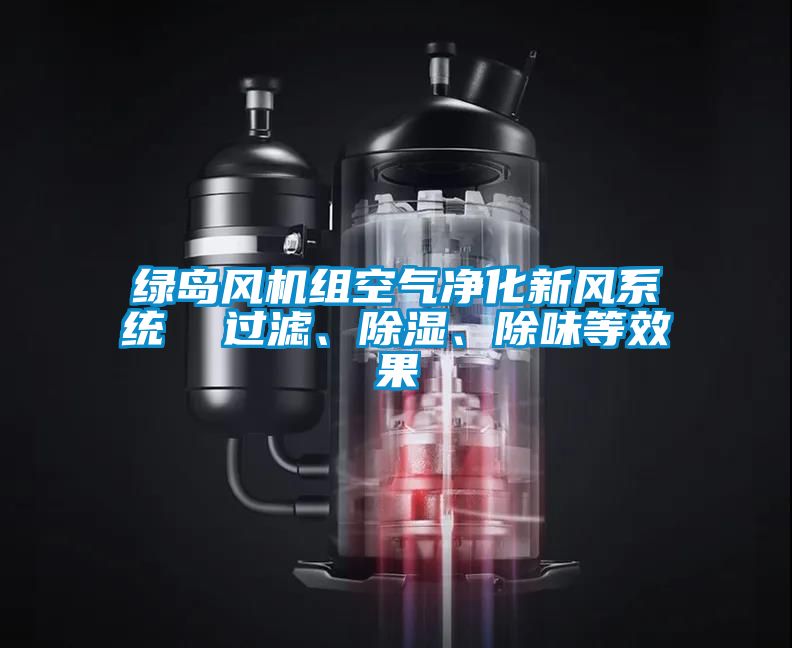 綠島風機組空氣淨化新風係統  過濾、91看片在线下载、除味等效果