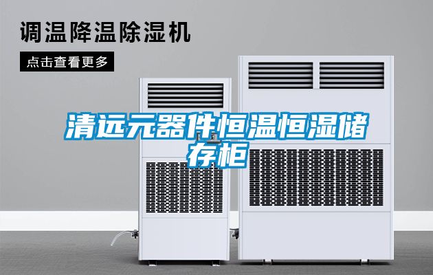 清遠元器件恒溫恒濕儲存櫃