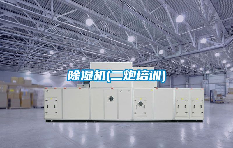91看片在线下载機(二炮培訓)