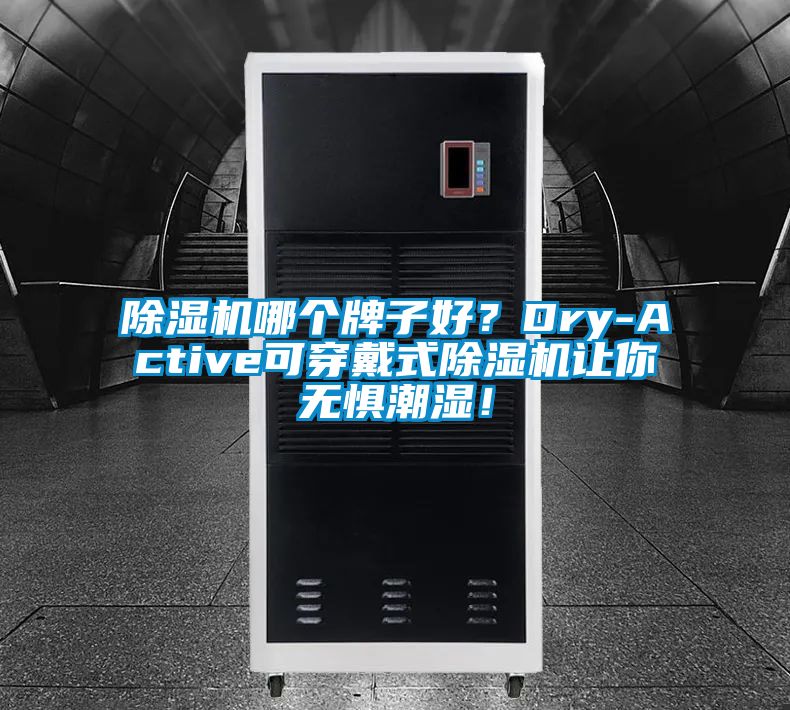 91看片在线下载機哪個牌子好？Dry-Active可穿戴式91看片在线下载機讓你無懼潮濕！