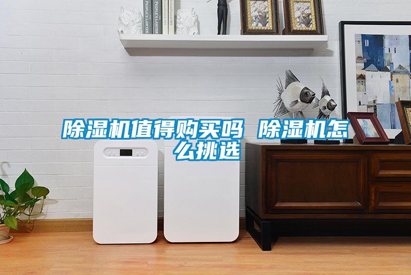 91看片在线下载機值得購買嗎 91看片在线下载機怎麽挑選