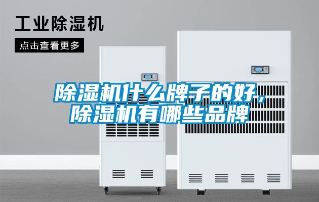 91看片在线下载機什麽牌子的好，91看片在线下载機有哪些品牌