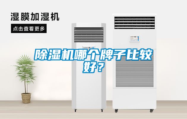 91看片在线下载機哪個牌子比較好？