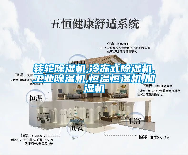 轉輪91看片在线下载機,冷凍式91看片在线下载機,工業91看片在线下载機,恒溫恒濕機,加濕機