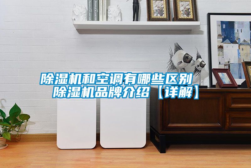 91看片在线下载機和空調有哪些區別  91看片在线下载機品牌介紹【詳解】