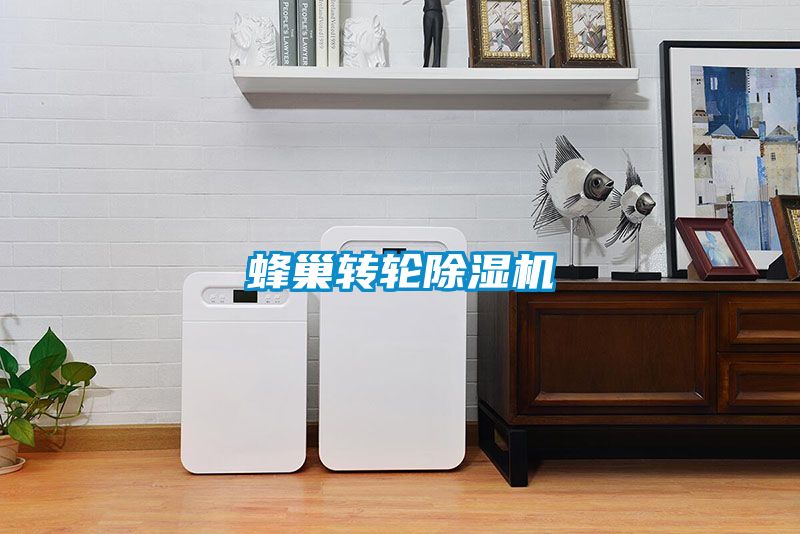 蜂巢轉輪91看片在线下载機