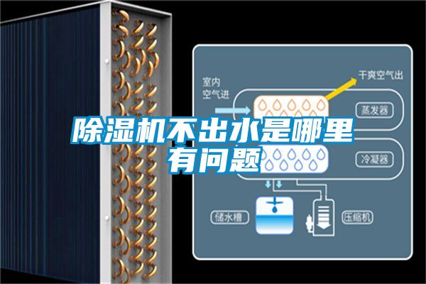 91看片在线下载機不出水是哪裏有問題