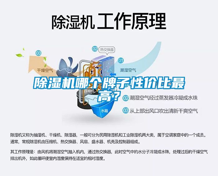 91看片在线下载機哪個牌子性價比最高？