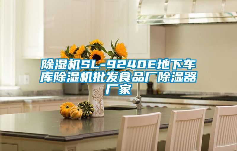 91看片在线下载機SL-9240E地下車庫91看片在线下载機批發食品廠91看片在线下载器廠家