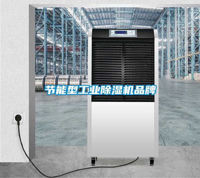 節能型工業91看片在线下载機品牌