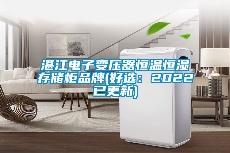 湛江電子變壓器恒溫恒濕存儲櫃品牌(好選：2022已更新)