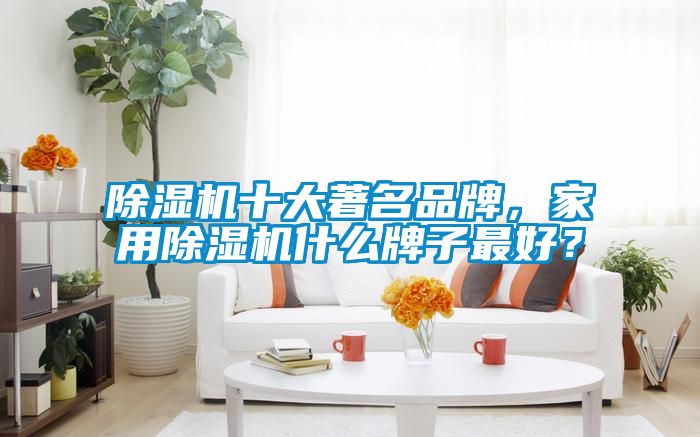 91看片在线下载機十大著名品牌，家用91看片在线下载機什麽牌子最好？