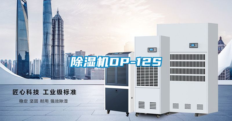 91看片在线下载機DP-12S