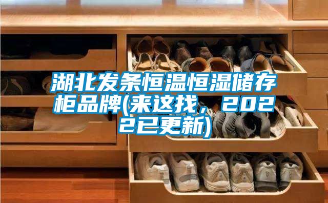湖北發條恒溫恒濕儲存櫃品牌(來這找，2022已更新)