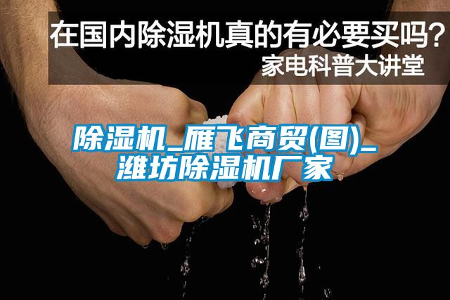 91看片在线下载機_雁飛商貿(圖)_濰坊91看片在线下载機廠家