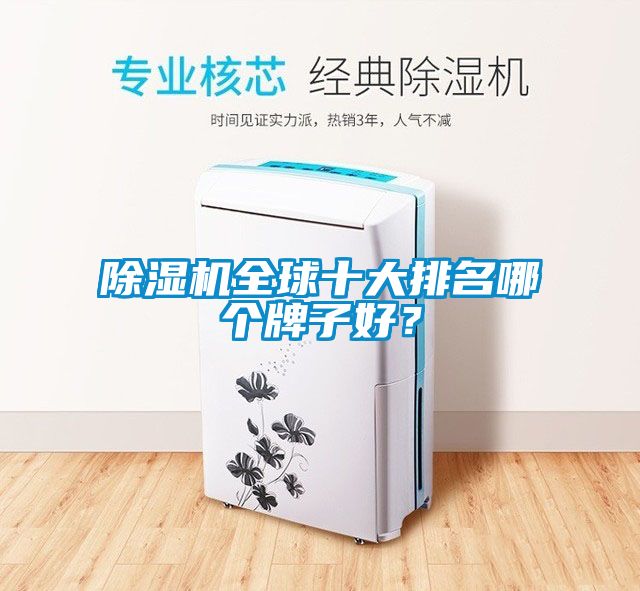 91看片在线下载機全球十大排名哪個牌子好？
