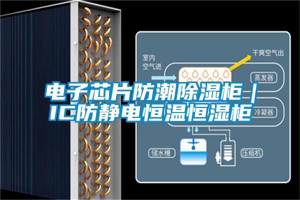 電子芯片防潮91看片在线下载櫃｜IC防靜電恒溫恒濕櫃