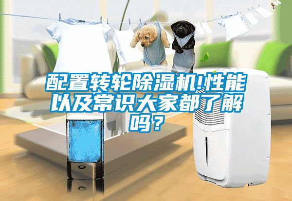 配置轉輪91看片在线下载機!性能以及常識大家都了解嗎？
