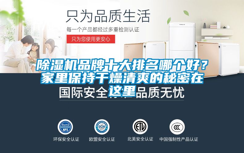 91看片在线下载機品牌十大排名哪個好？家裏保持幹燥清爽的秘密在這裏