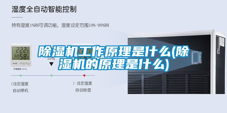 91看片在线下载機工作原理是什麽(91看片在线下载機的原理是什麽)