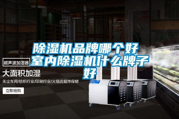 91看片在线下载機品牌哪個好 室內91看片在线下载機什麽牌子好
