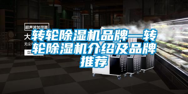 轉輪91看片在线下载機品牌—轉輪91看片在线下载機介紹及品牌推薦