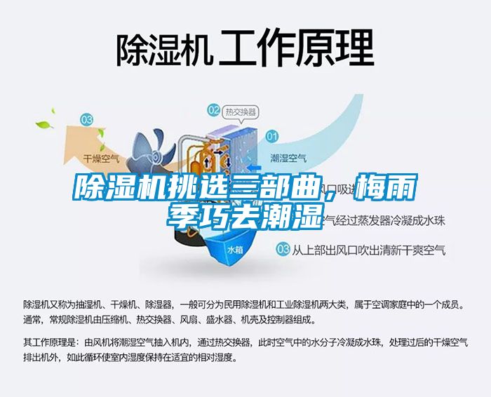 91看片在线下载機挑選三部曲，梅雨季巧去潮濕