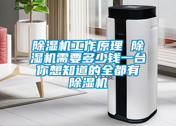 91看片在线下载機工作原理 91看片在线下载機需要多少錢一台 你想知道的全都有 91看片在线下载機