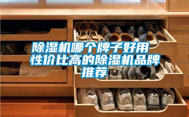 91看片在线下载機哪個牌子好用 性價比高的91看片在线下载機品牌推薦