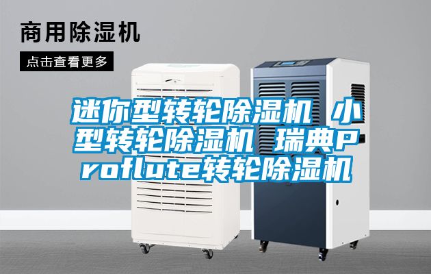 迷你型轉輪91看片在线下载機 小型轉輪91看片在线下载機 瑞典Proflute轉輪91看片在线下载機