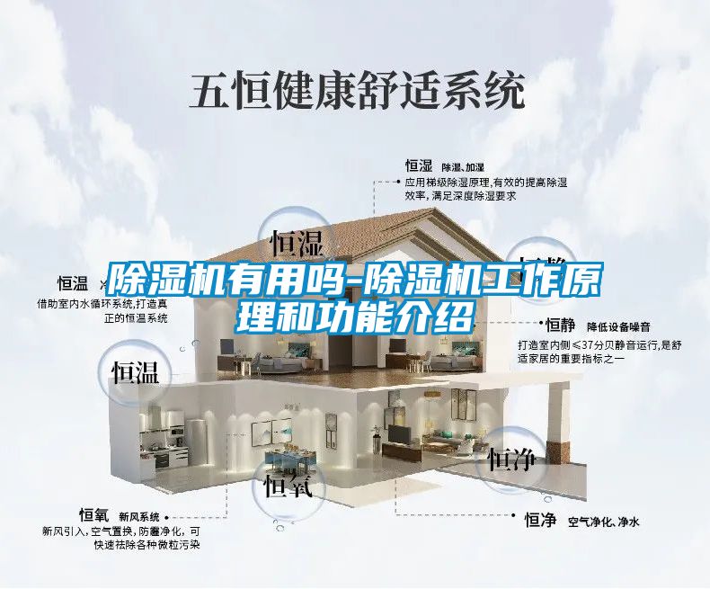 91看片在线下载機有用嗎-91看片在线下载機工作原理和功能介紹
