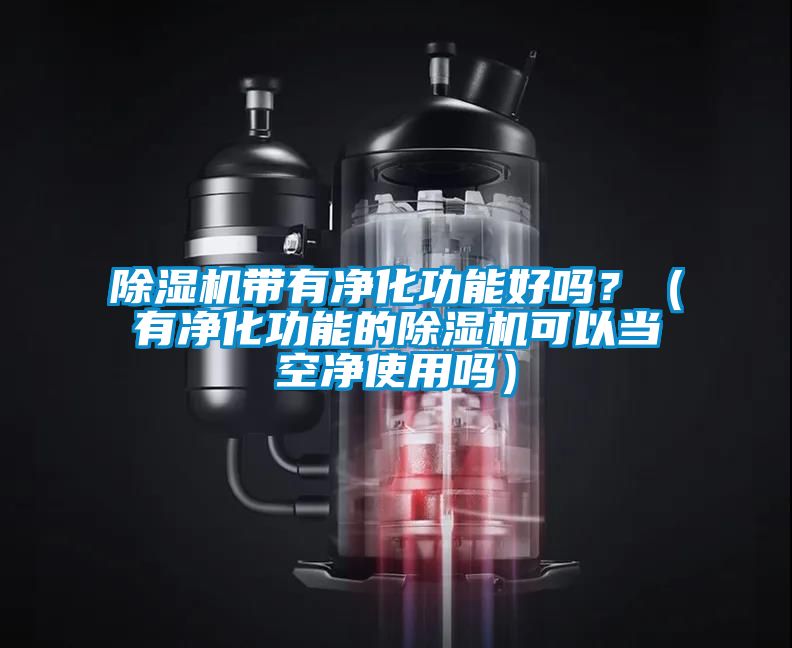 91看片在线下载機帶有淨化功能好嗎？（有淨化功能的91看片在线下载機可以當空淨使用嗎）