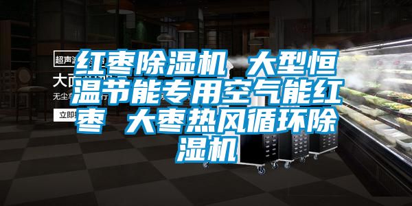 紅棗91看片在线下载機 大型恒溫節能專用空氣能紅棗 大棗熱風循環91看片在线下载機