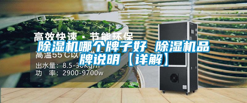 91看片在线下载機哪個牌子好 91看片在线下载機品牌說明【詳解】