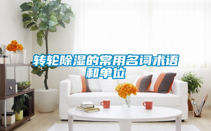 轉輪91看片在线下载的常用名詞術語和單位