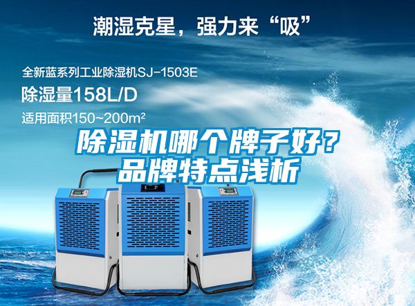 91看片在线下载機哪個牌子好？品牌特點淺析