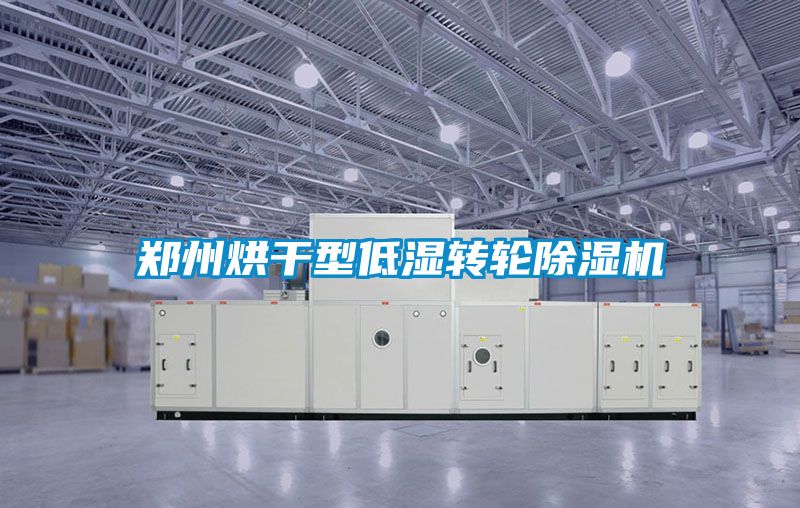 鄭州烘幹型低濕轉輪91看片在线下载機