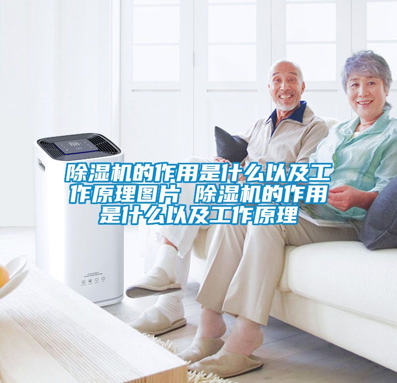 91看片在线下载機的作用是什麽以及工作原理圖片 91看片在线下载機的作用是什麽以及工作原理