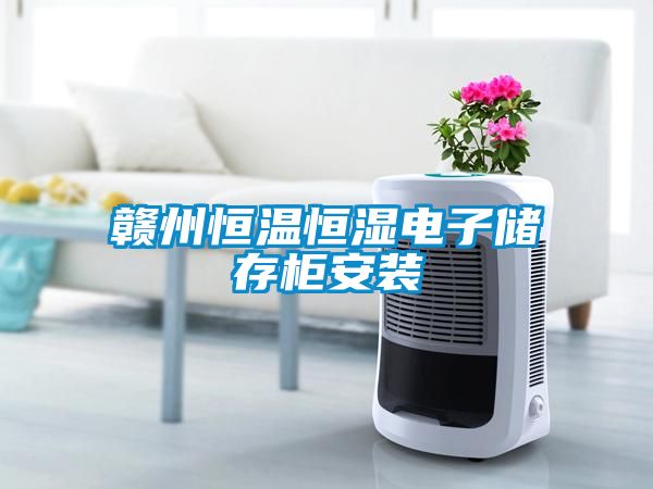 贛州恒溫恒濕電子儲存櫃安裝