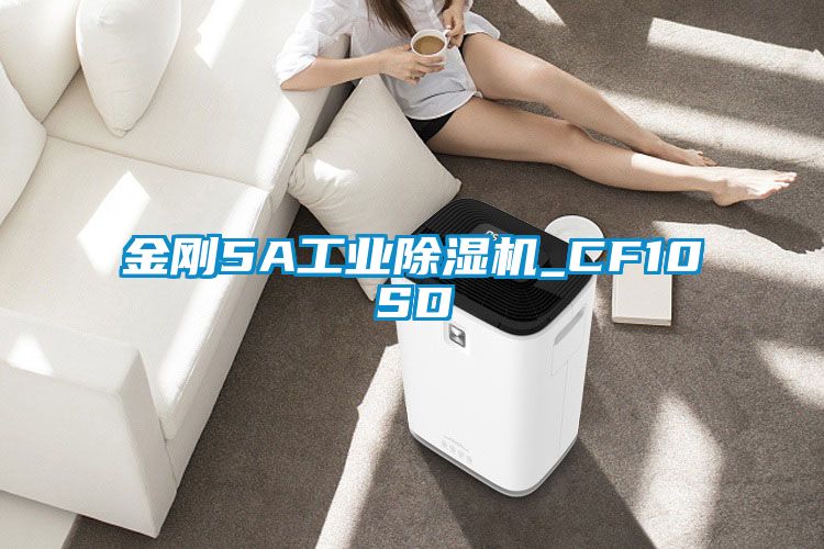 金剛5A工業91看片在线下载機_CF10SD