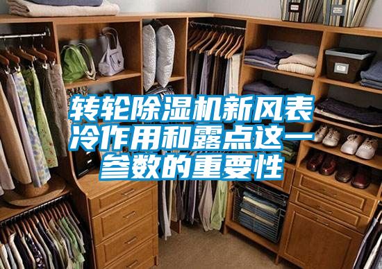 轉輪91看片在线下载機新風表冷作用和露點這一參數的重要性