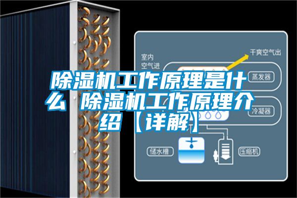 91看片在线下载機工作原理是什麽 91看片在线下载機工作原理介紹【詳解】