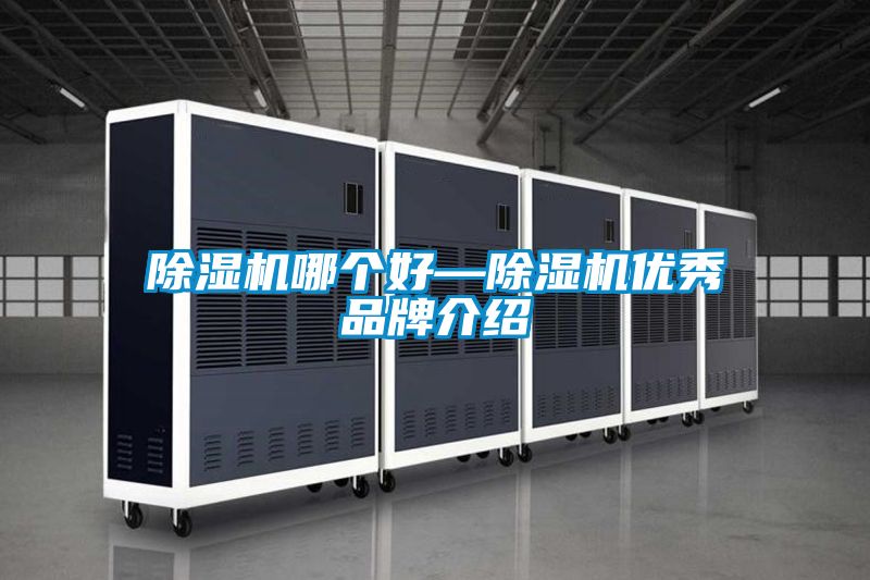 91看片在线下载機哪個好—91看片在线下载機優秀品牌介紹