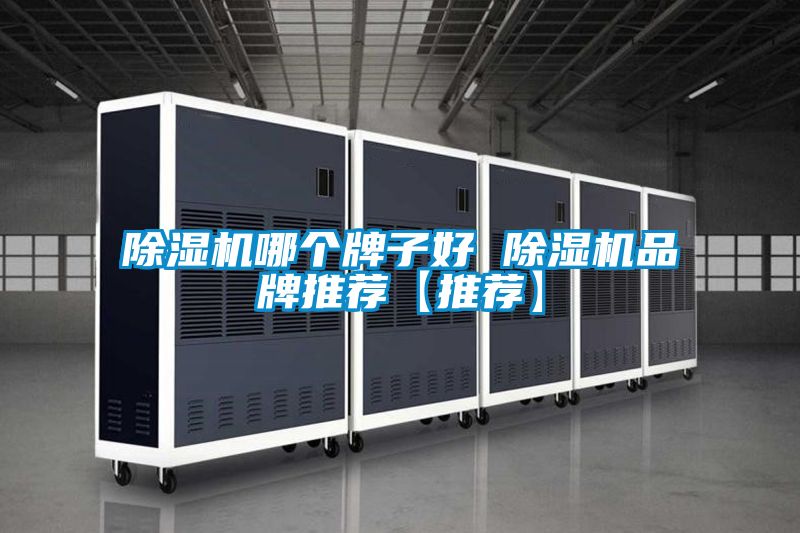 91看片在线下载機哪個牌子好 91看片在线下载機品牌推薦【推薦】