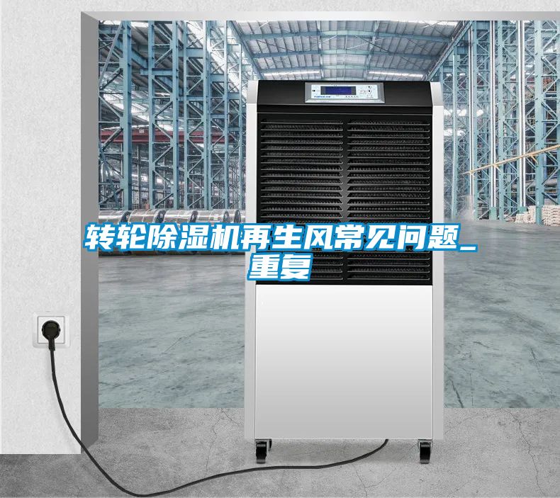 轉輪91看片在线下载機再生風常見問題_重複