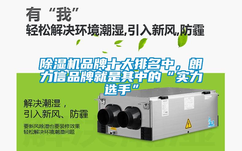 91看片在线下载機品牌十大排名中，朗力信品牌就是其中的“實力選手”