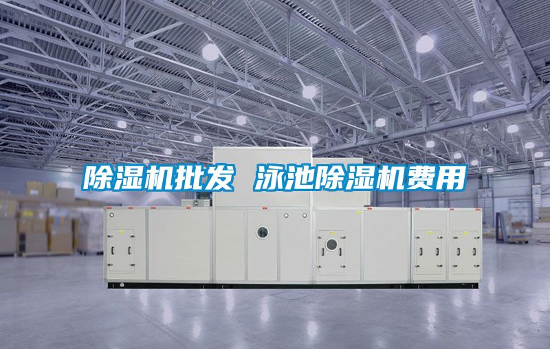 91看片在线下载機批發 泳池91看片在线下载機費用