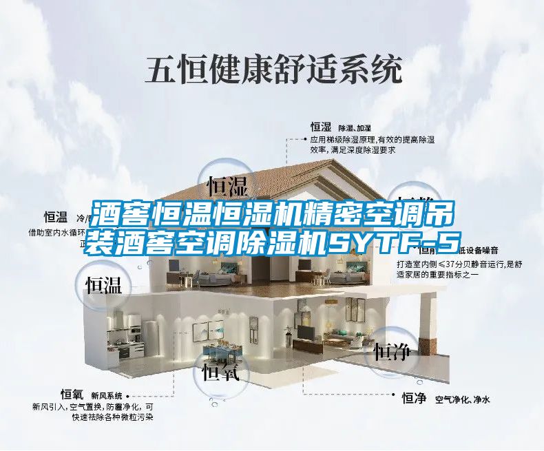 酒窖恒溫恒濕機精密空調吊裝酒窖空調91看片在线下载機SYTF-5